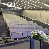 IEQ Upscale Auditorium Chair Volleyball Chair With Writing Board Meeting Coulese Theatre Chair Report Hall Seats Conjoined Chairs