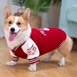 Dog Clothes Autumn and Winter Trendy Baseball Jacket Corgi Winter Pet Shiba Inu Puppy Medium-Sized Dog Bichon Frise French Bulldog