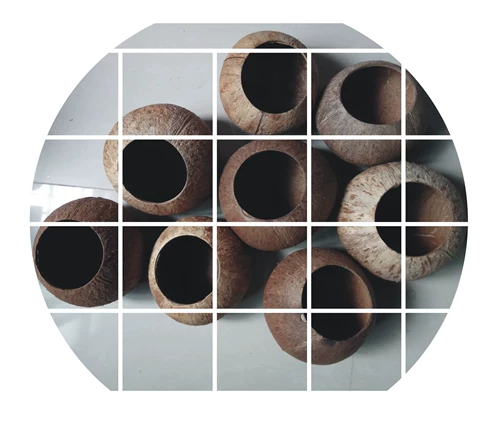 Кокосовая раковина птичья гнездо на большую кокосовую раковину гнездо, мастерство, аварийная будильник попугай хомяк для животных гнездо.