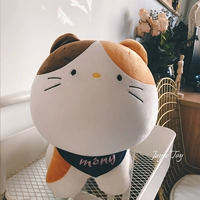 Кот