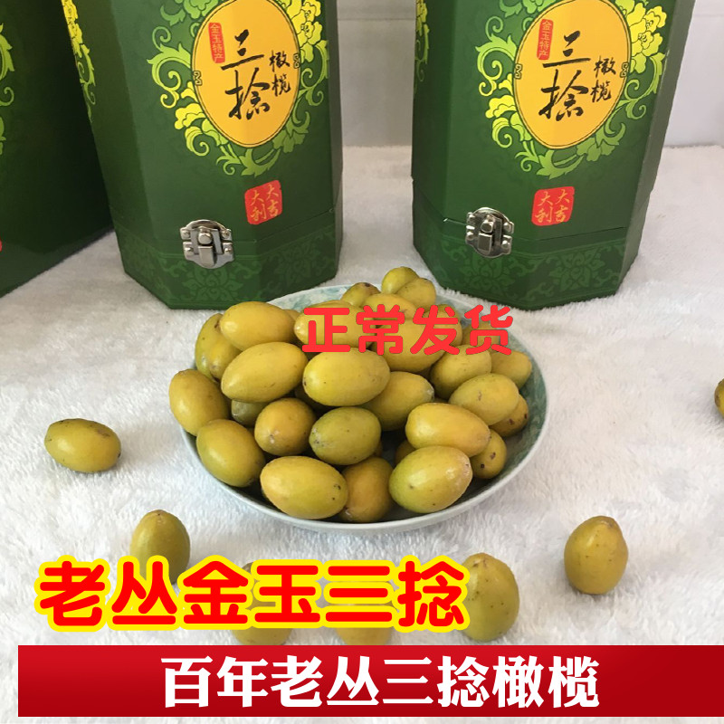 Authentic Gold Foci Salmon 3 Olive Mitsubishi Now Off Fresh Olive Gold Jade Triple Twist Yellow Olive Tide Shan olives