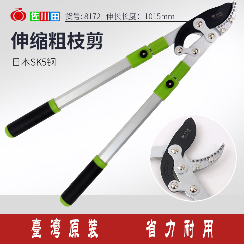 Telescopic high branches cut branches Branches Cut Twigs Cut of fruit trees Scissors Gardening Scissors Flex Vigorous cut and flex Scissors Fence Cut