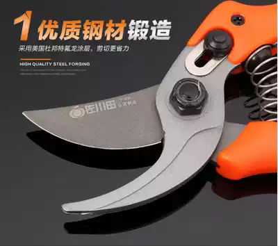 Pruning Fruit tree pruning scissors horticultural pruning scissors Taiwan scissors pruning scissors