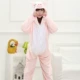 Phim hoạt hình Bộ đồ ngủ Xiêm Khủng long Pikachu Động vật dễ thương Mùa thu và mùa đông Flannel dài tay nam và nữ