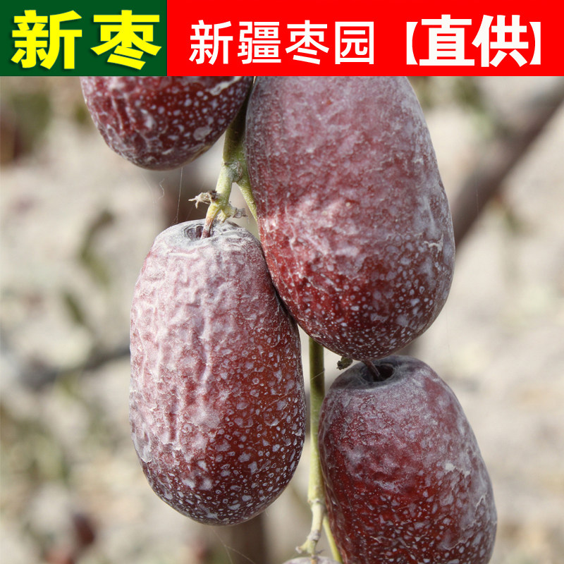2021 new dates 5 catties in Xinjiang grey date special production of red dates if the red dates of red dates if they are not washed and dried dates if they are not washed
