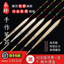 Yongzhen Reed floating high sensitive black pit wild fishing float buoy fishing buoy fishing anti wind wave C20 31 32B02L12