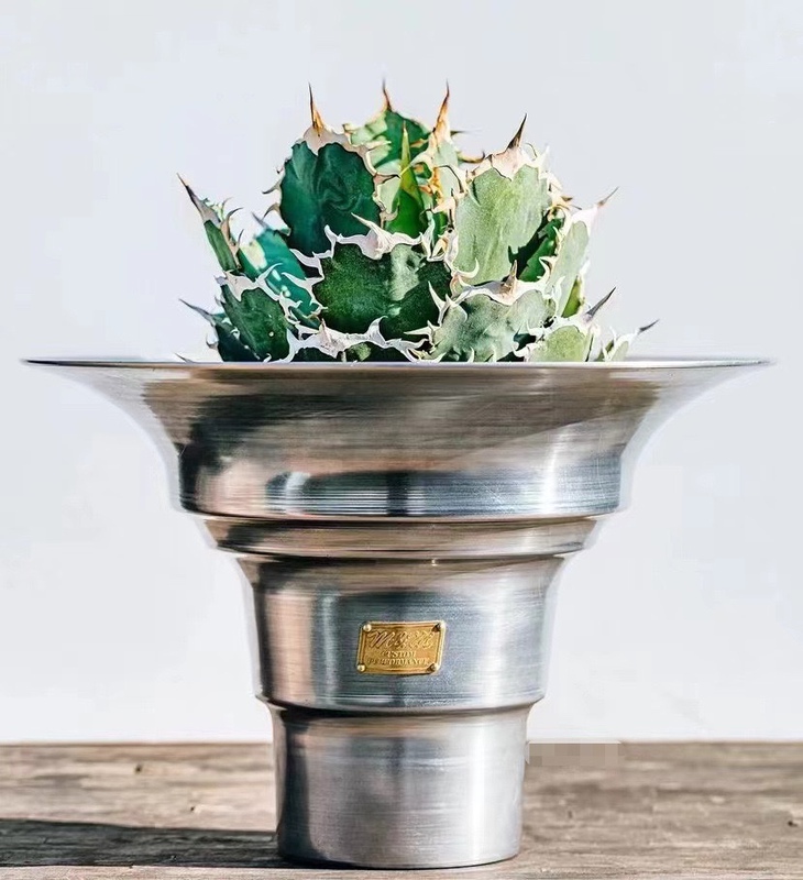 M&M Agave Root Succulent Metal Flower Pot Kimura Takuya Style Handmade Pot Japanese Root Plant Flower Pot M&M Agave Root Succulent Metal Flower Pot Kimura Takuya Style Handmade Pot Japanese Root Plant Flower Pot