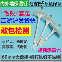 Internal and external wall insulation nails Insulation layer with anchor insulation board mesh fixed anchor nails Extruded rock wool board foam