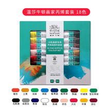 Windsor Newton acrylic pigment 18 color set student art painting wall painting DIY nail paint 10ML branch