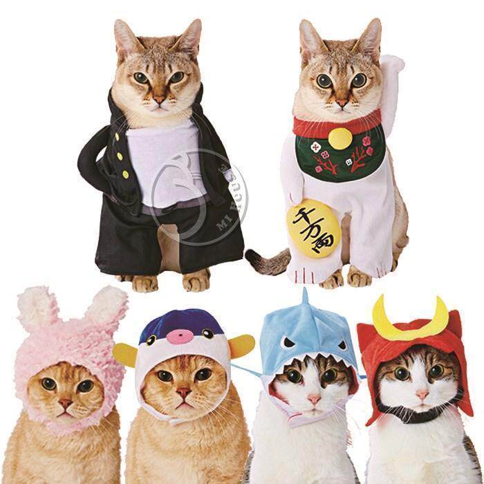 Cat clothes summer thin pet clothes kitten cat net red cute funny hat headwear Japan petio