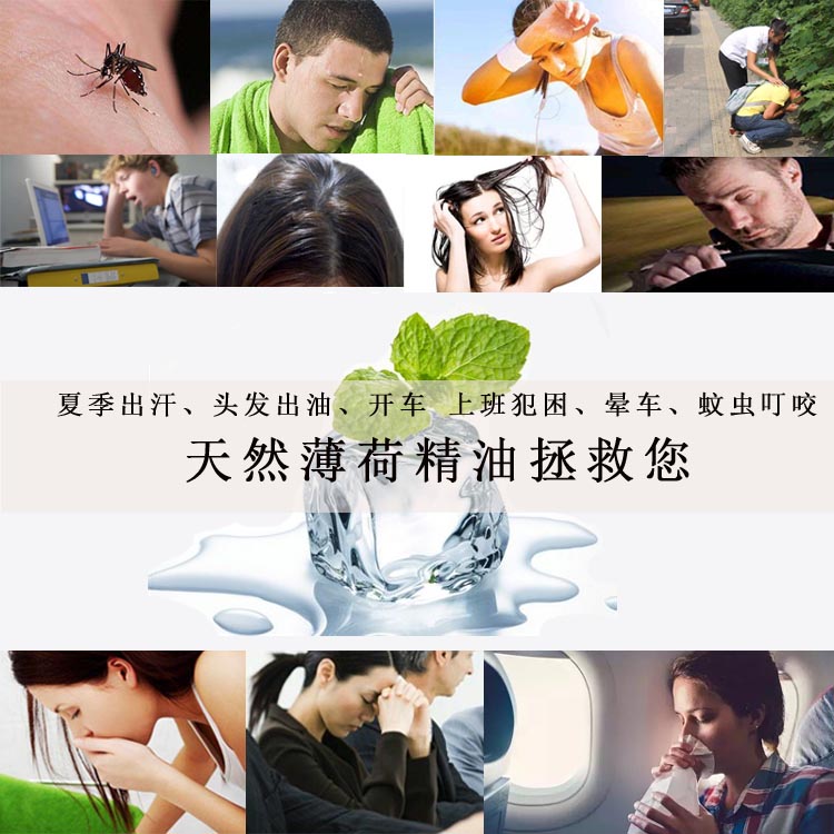 Tinh dầu bạc hà tự nhiên 500g công suất lớn lái xe làm mới chống hói dầu gội mát hương thơm chống côn trùng duy nhất - Tinh dầu điều trị tinh dầu vỏ bưởi