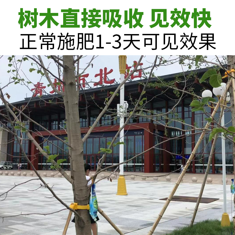 守护绿色生命的树医生:大树输液神器