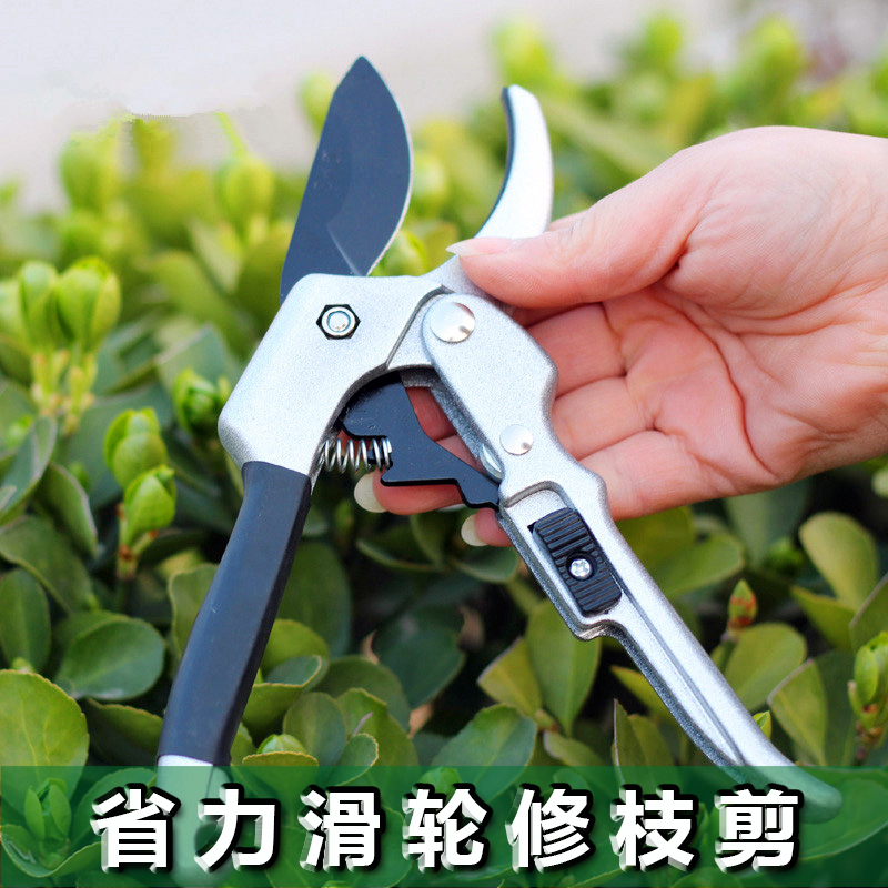 Horticultural scissors Fruit tree pruning shears multi-functional flower trimming scissors imported steel household labor-saving pruning branches whole branch shears