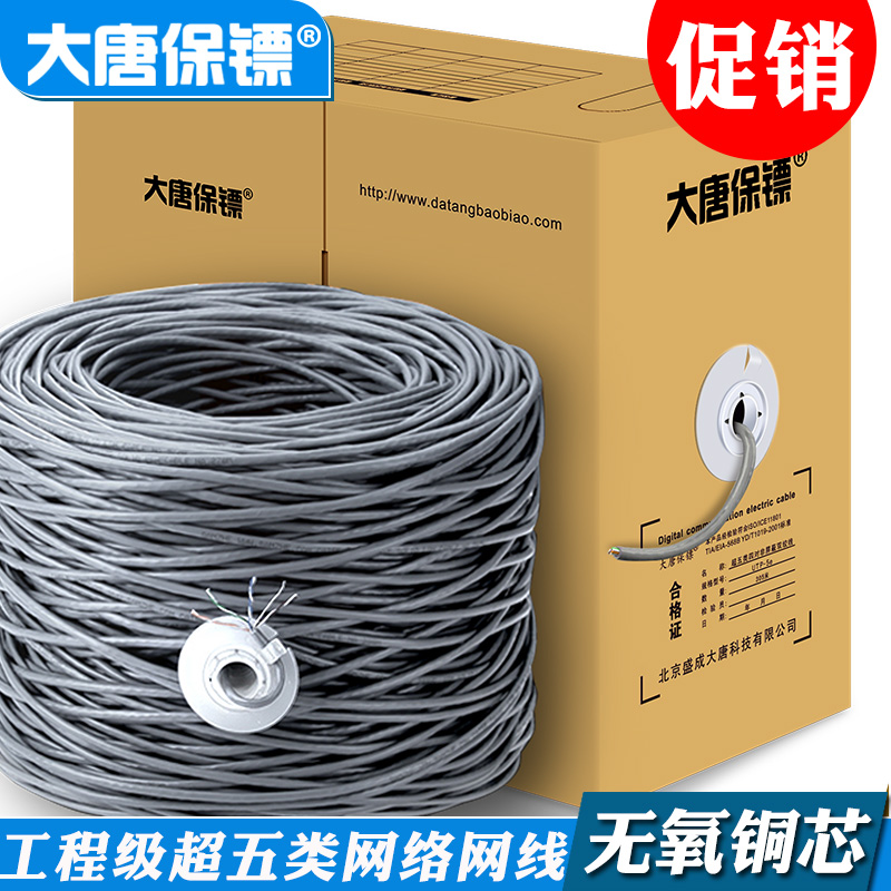 Datang Bodyguard DT2900-5 Super Class 5 Network Cable Twisted Pair Oxygen-free Copper Home Computer Full Box Monitoring 305 meters