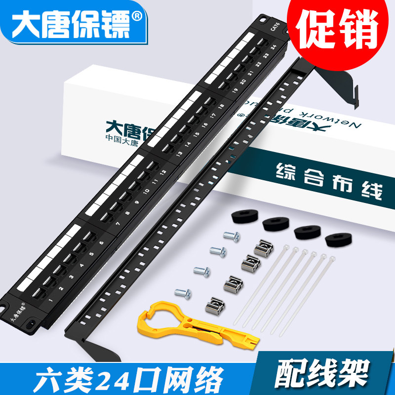 Datang Bodyguard DT2804-624 Cat6 Patch Panel 24 Ports Cat6 Gigabit Network Engineering Grade Gilded Cabinet Server Patch Panel 19-inch Standard Cable Manager