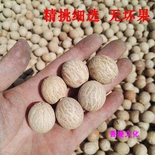 White Jade Bodhiden New Bodhicitta Ginkgo Original Diameter 11-30mm Bodhica Great Fruit Raw Materials Sells