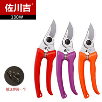 Taiwan Sagawa Yoshiyoshi 130w pruning shears Fruit tree shears Pruning shears Horticultural branch shears Imported bonsai scissors greening