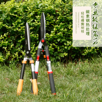 Flower scissors Gardening tools imported from Taiwan Liu Shengping lawn branch scissors landscaping scissors grass hedge scissors