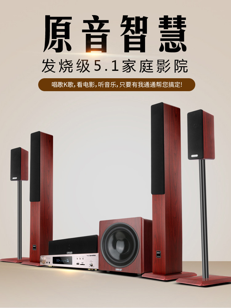 Qisheng Q20 Home Theater Amplifier 5.1 Tv Projection Audio Karaoke Equipment Subwoofer Set