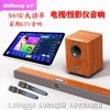 Qisheng Home Audio Karaoke Living Room Soundbar Home Theater Subwoofer Surround Ktv Tv Projector Set