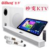 Qisheng Home Audio Karaoke Living Room Soundbar Home Theater Subwoofer Surround Ktv Tv Projector Set