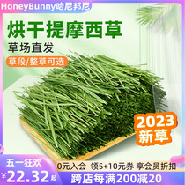 Xinjiang 23-year-old new dried timothy grass segment northern timothy grass rabbit hay grain rabbit feed chinchilla guinea pig