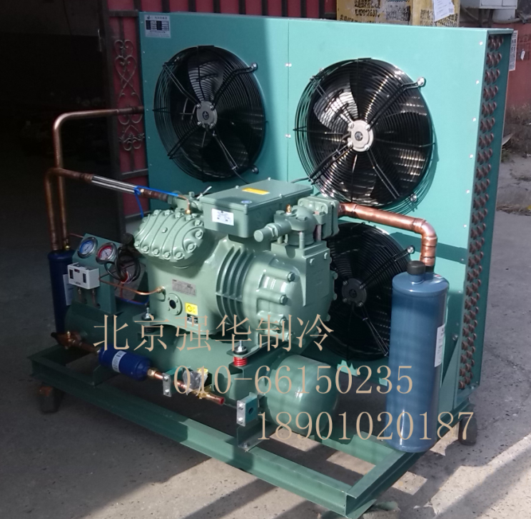 Bizer Refrigeration compressor 4G-30 2 4GE-30 30P Picker Refrigeration Preservation Freezer Group