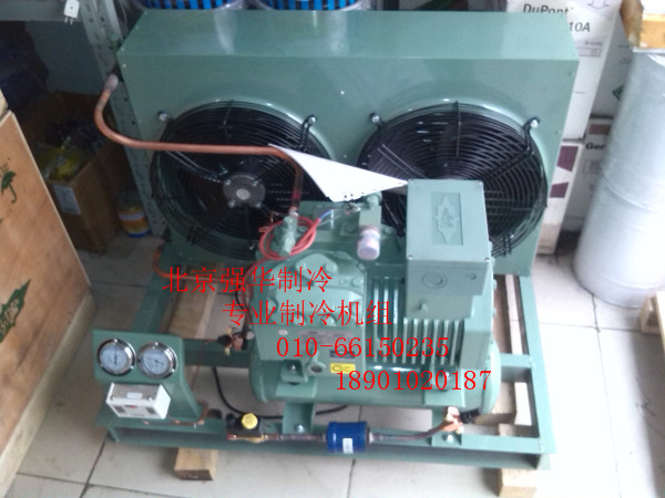 Bizer Refrigeration compressor 4FC-3 2 4FES-3Y 3P Picker Refrigeration Preservation Freezer Group