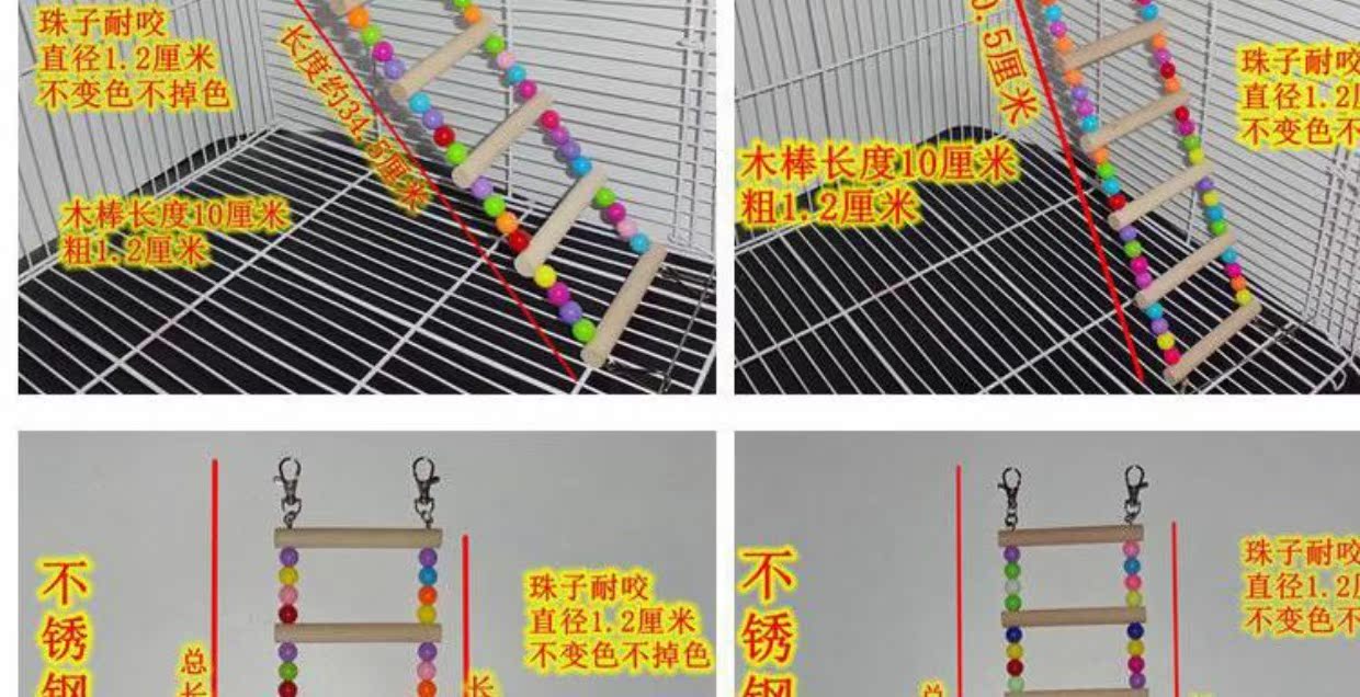 Mặt trời nhỏ của con vẹt Hổ bí ẩn Hoa mẫu đơn Pet Bird Đồ chơi đu cung - Chim & Chăm sóc chim Supplies lòng chào mào đẹp giá rẻ