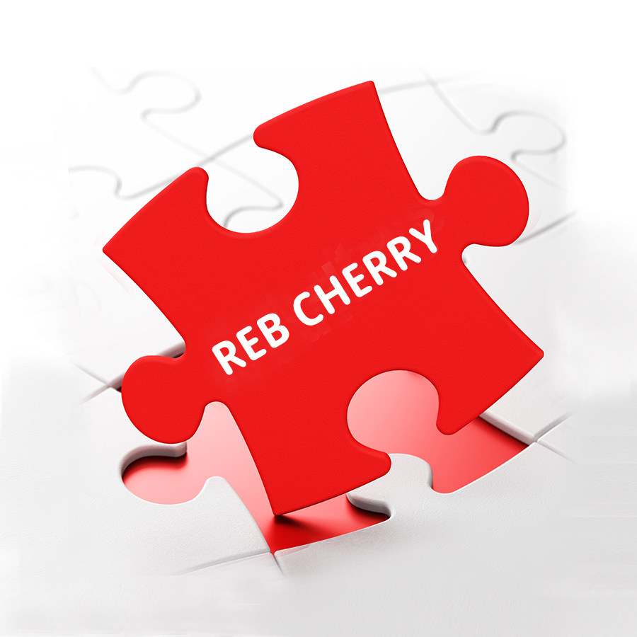 REBCHERRY定制馆