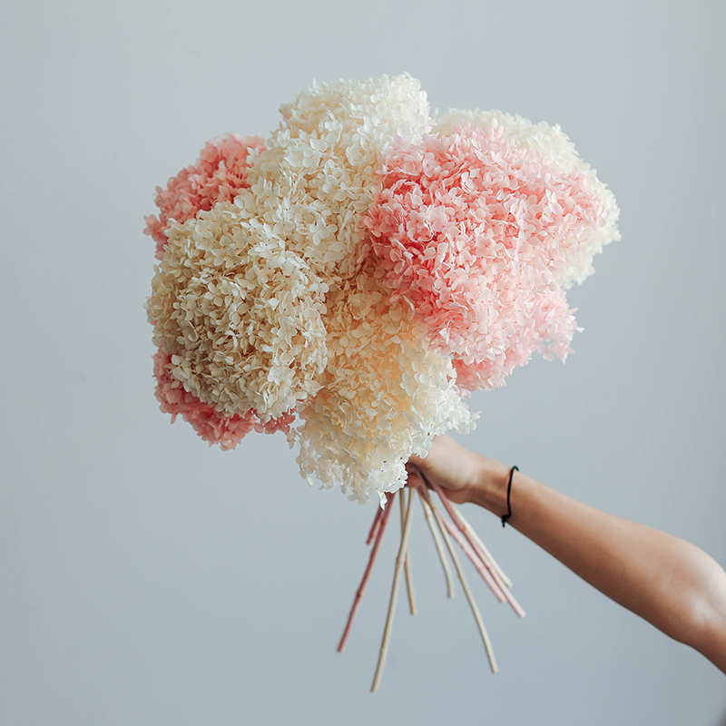 White Yonnais Flowers Bella Ana Embroidered Ball Dry Flowers True Pollen Color Small Leaf Decoration Flower Arrangement Floor Living Room Large Bouquet