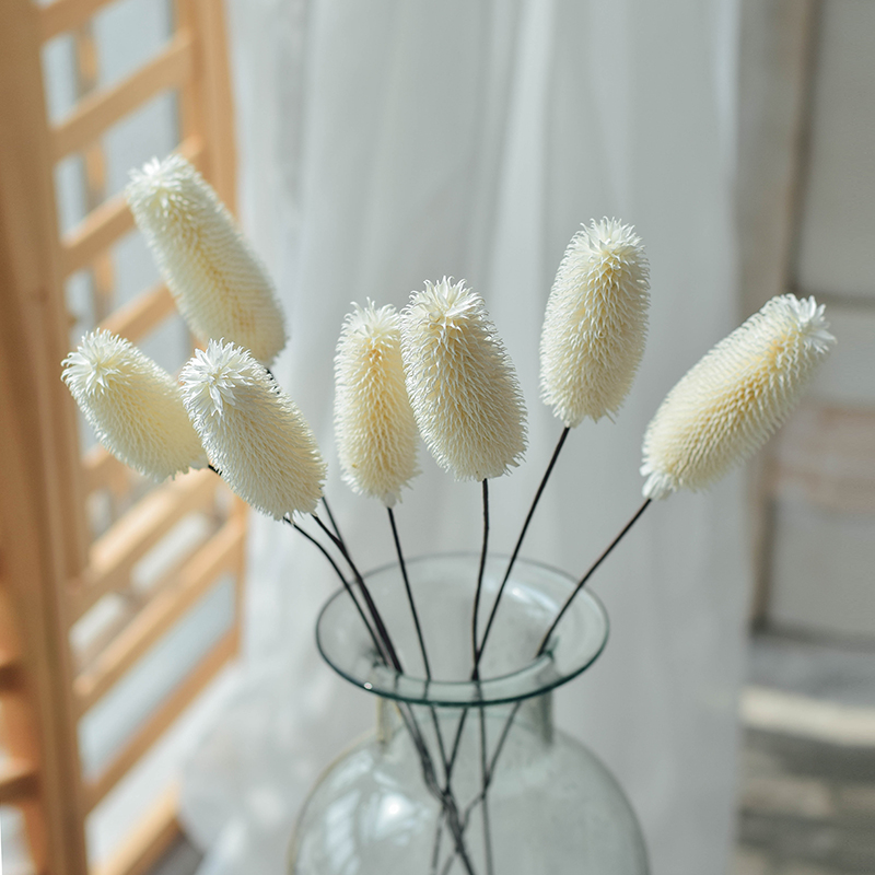 Lamao fruit natural dry flower real bouquet creative decoration living room decoration Nordic minimalist modern pastoral wind velvet grass