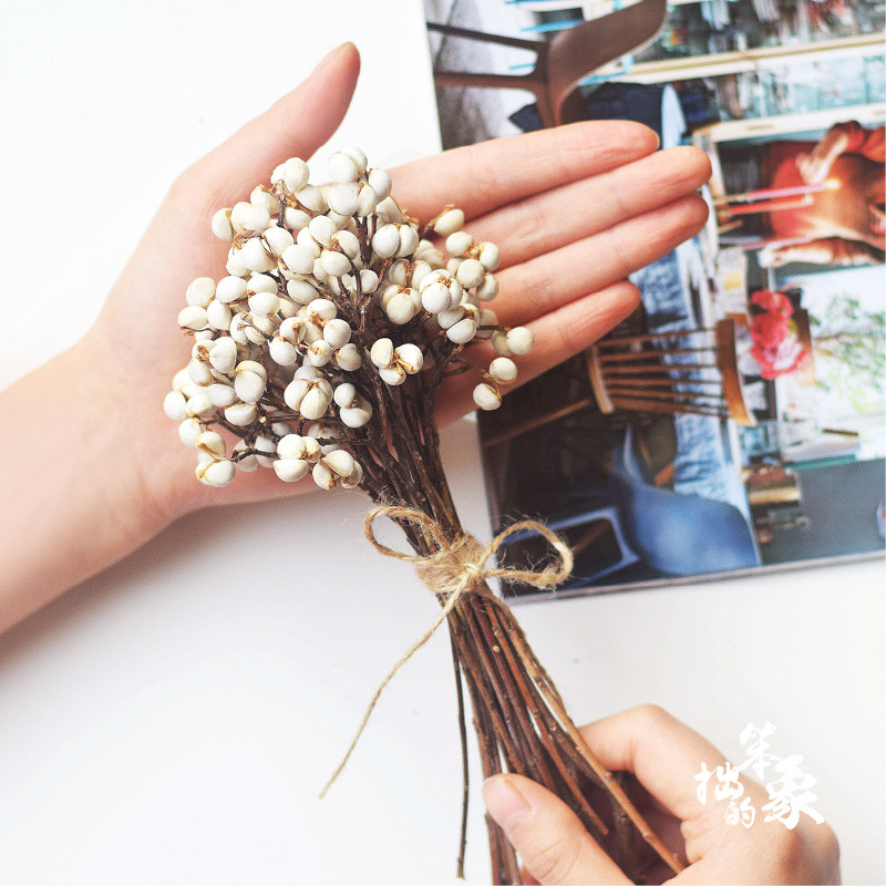 Small White Fruits Dried Flower Plus Vases Suit Mini Small Bouquet Dry Flowers Diy Handmade Material Christmas Decorations Uberries