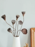 Лотос Puff Dry Flowers zen Цветок дзен качание маленький цветок свежий свежий мини -ресторанный батон