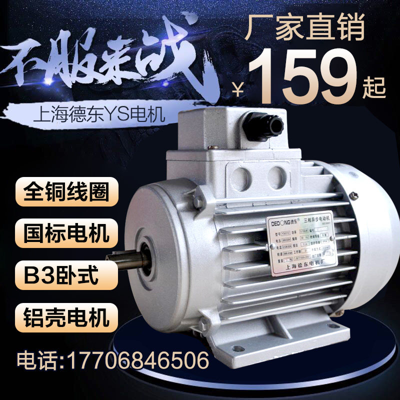 Shanghai Dedong motor YS120W aluminum shell motor small power motor micro motor micro motor 380V