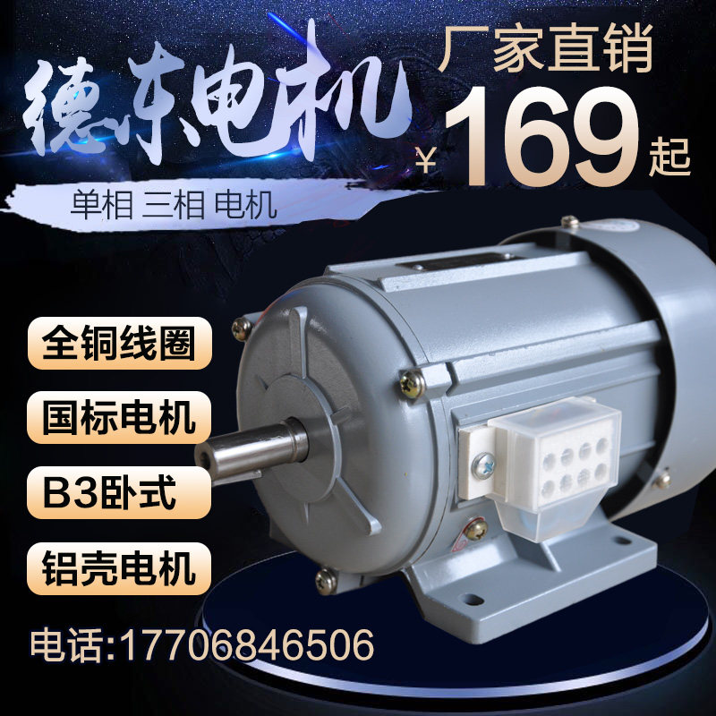 Shanghai Dedong Motor YSB120W aluminum shell copper wire small power motor micro motor single-phase three-phase
