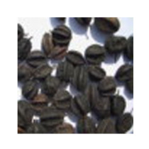 Northeastern Acanthopanax seed wild Acanthopanax fruit fresh raw sun-dried local specialty 250g