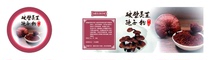 Yunfeng broken wall Ganoderma lucidum spore powder sticker Chinese herbal medicine wholesale custom bottle sticker