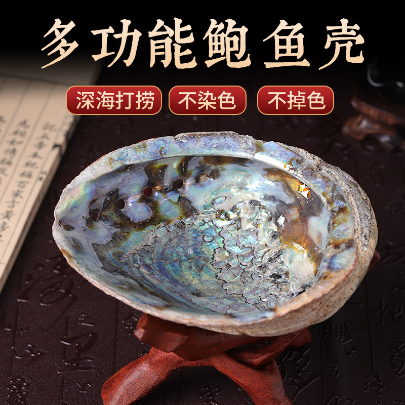 Natural Imports Mexico Bowl shell New Zealand color Bowl burning sage Sage Container Fish Tank to make a swing piece-Taobao