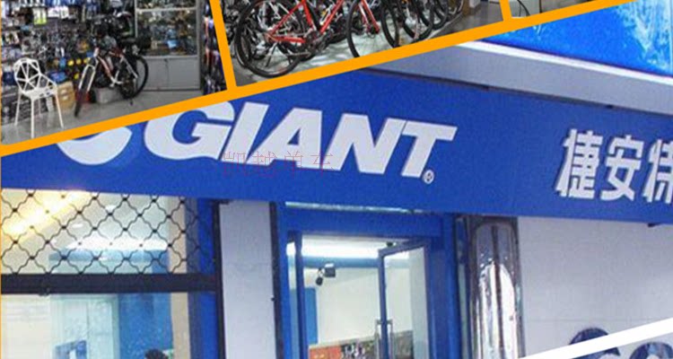 Compteur de vélo GIANT - Ref 2417742 Image 16