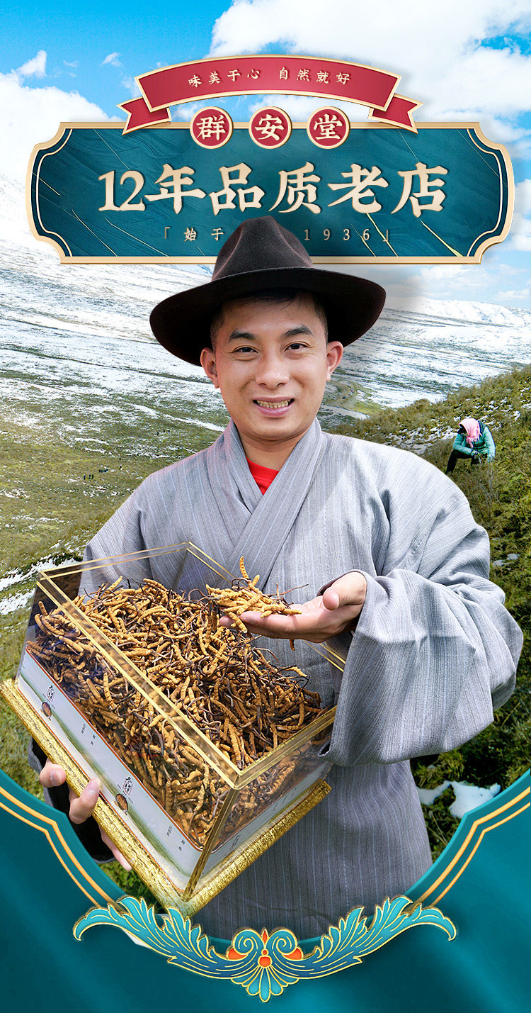 Например, cordyceceps 2_01.jpg