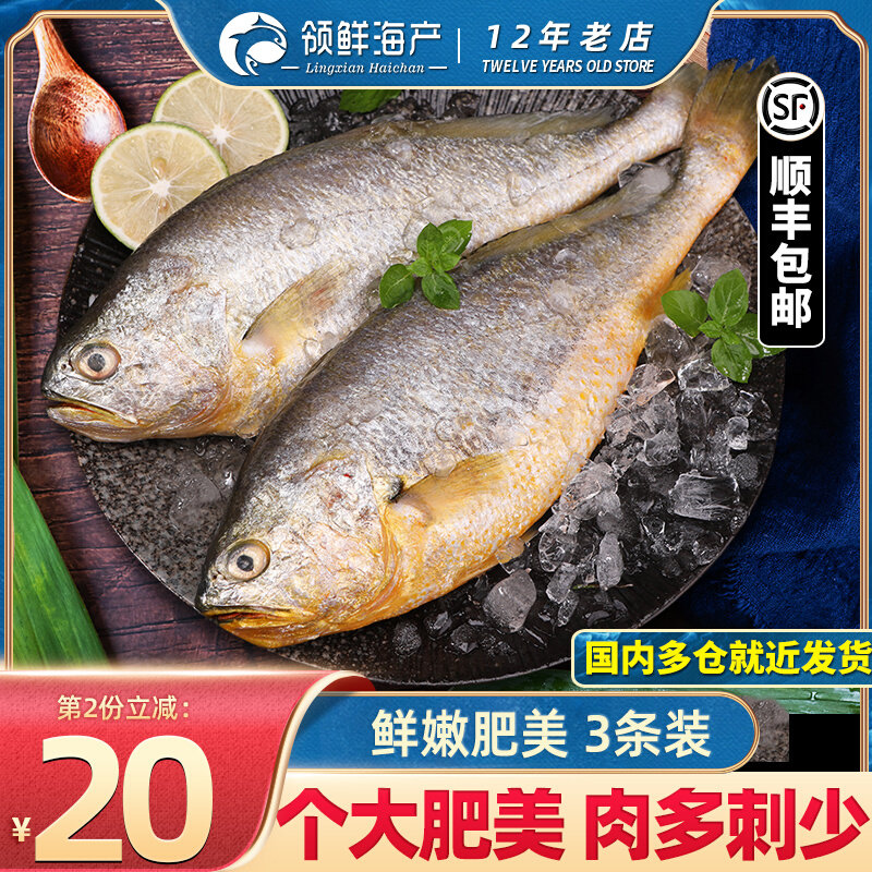 Rhubarb Flowers Fish Fresh Live Frozen Seafood Fish Aquatic Marine Fish Yellow Fish Fresh Catch Little Yellow Fish 