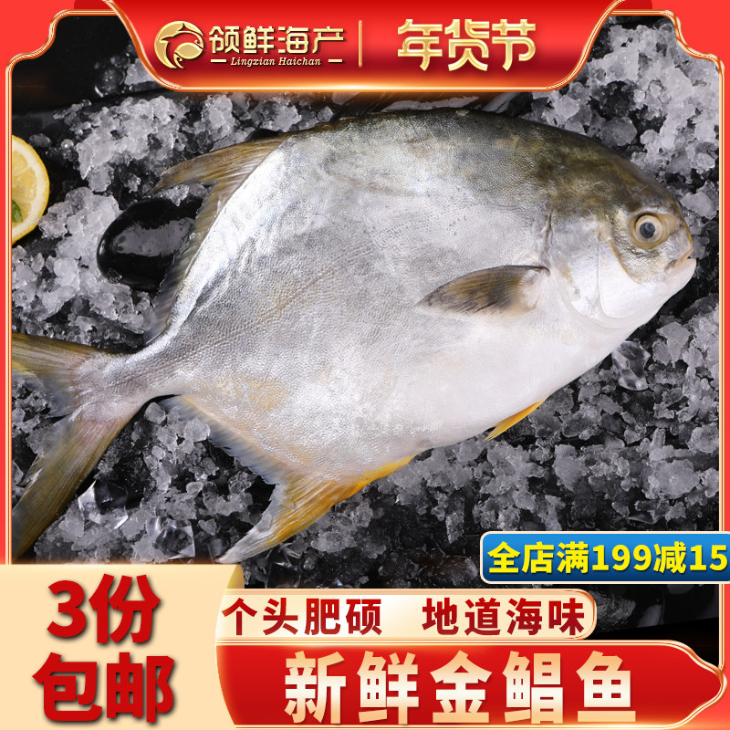 Golden pomfret fresh and fresh frozen special sea fish Dalian deep sea pomfret pomfret seafood aquatic products