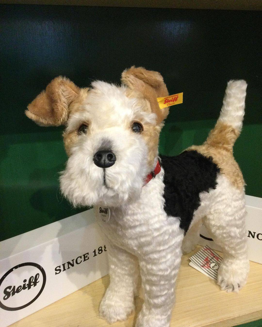 German direct mail Steiff Foxy Fox35cm Wirehaired Fox Terrier dog 031717