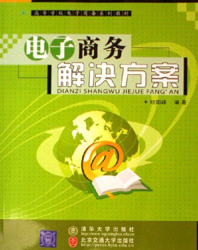 电子商务解决方案（高等学校电子商务系列教材）
