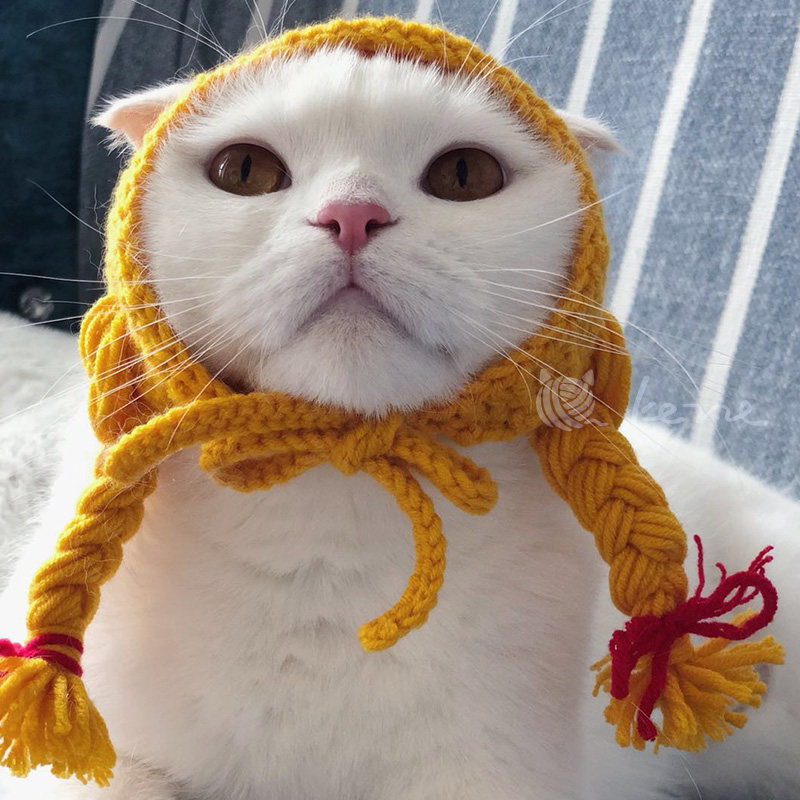 Kezze can squeak handmade net red with Japanese cute little sweet braid pet cat dog hat English short