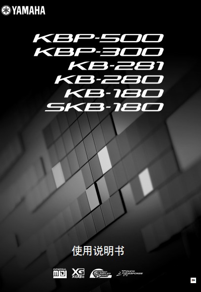 Custom Mountain leaf kbp500_kb280_KB281_ KB180 electronic violin Chinese use brochure