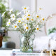 Simulated daisy bouquet, chamomile, plastic fake flower, hand-held photo silk flower, living room dining table, hotel home decoration