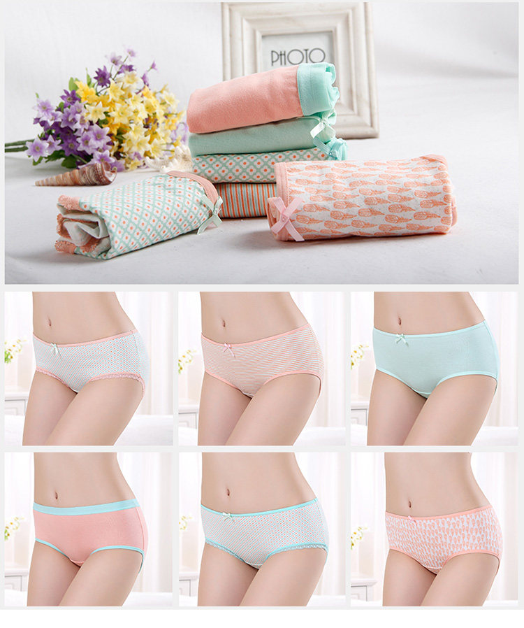 Slip jeunesse NF14X25232 en coton - Ref 666086 Image 24