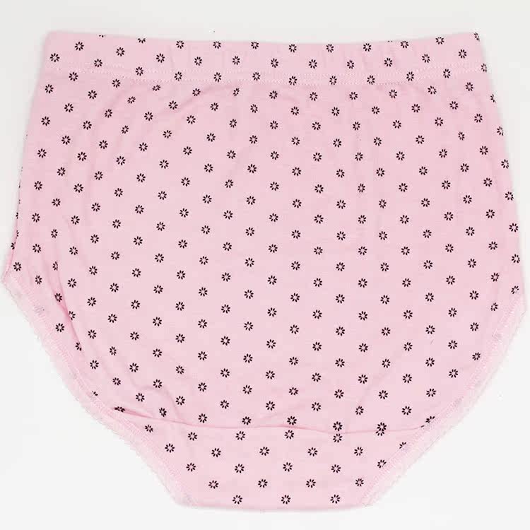 Slip Moyen-âge N8L5X20015 en coton - Ref 666096 Image 30